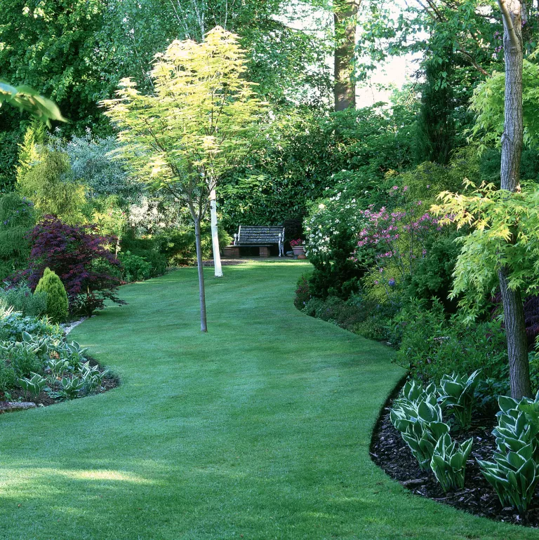 When to add lime to lawns – why you may need to and how to do it