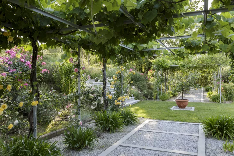 How to Landscape a Backyard - Expert Tips and Ideas for Creating Your Dream Garden