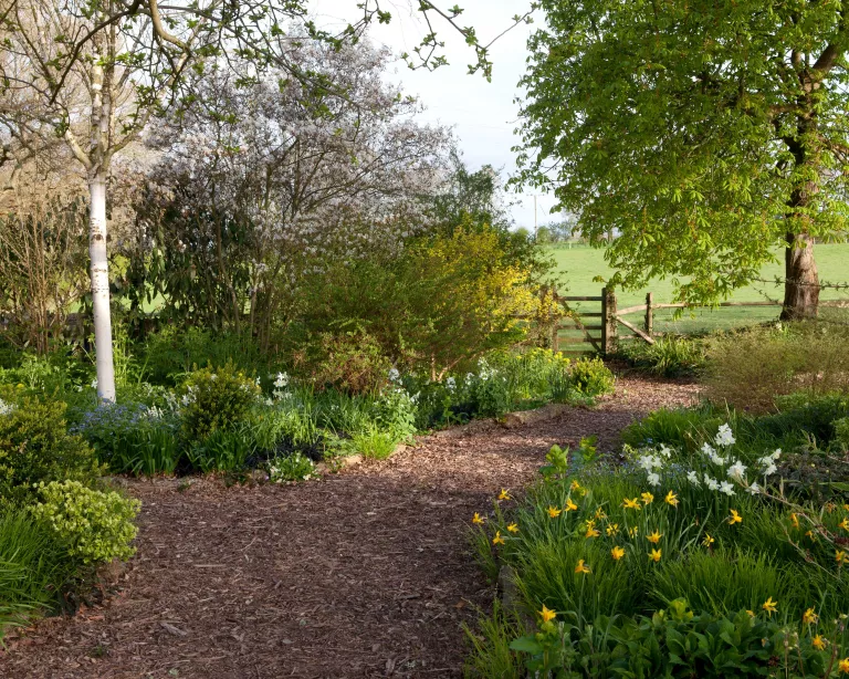 Garden path ideas – 15 ways to create a beautiful walkway