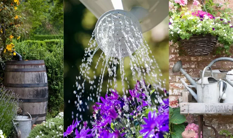 Rainwater harvesting – save money with these sustainable ideas