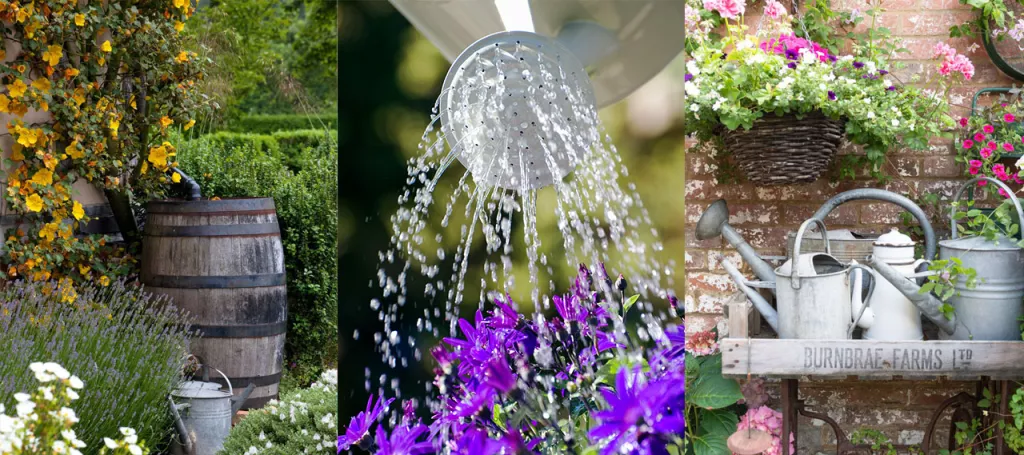 Rainwater harvesting – save money with these sustainable ideas