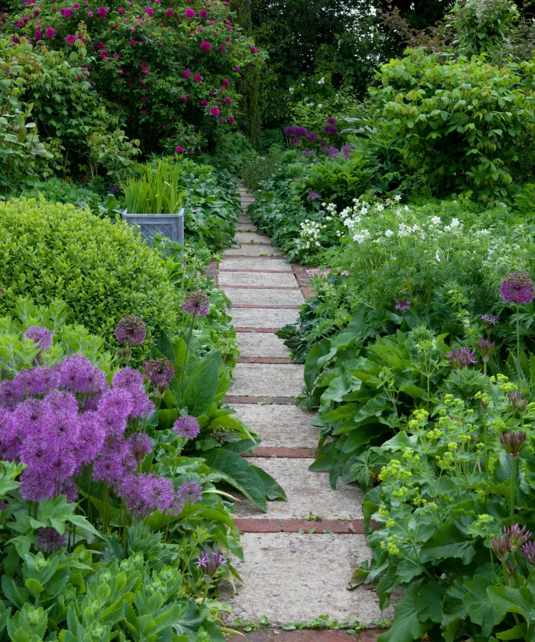 Garden path ideas – 15 ways to create a beautiful walkway