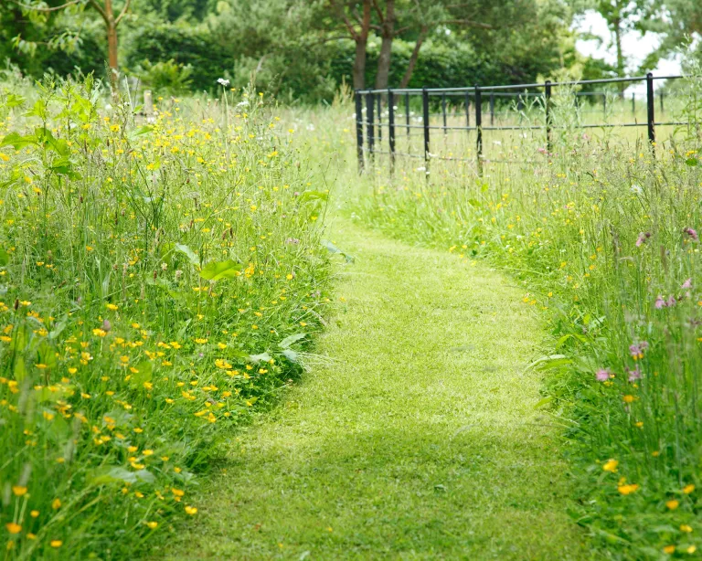 Garden path ideas – 15 ways to create a beautiful walkway