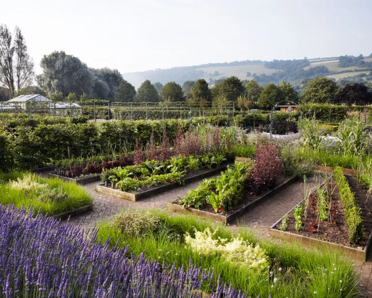 Kitchen garden ideas: 13 easy ways to get started