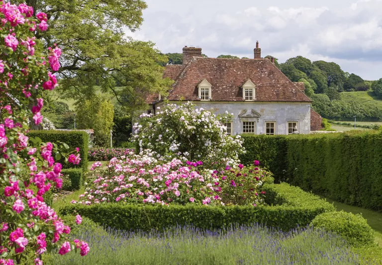 Rose garden ideas – 14 colorful rose gardens to inspire