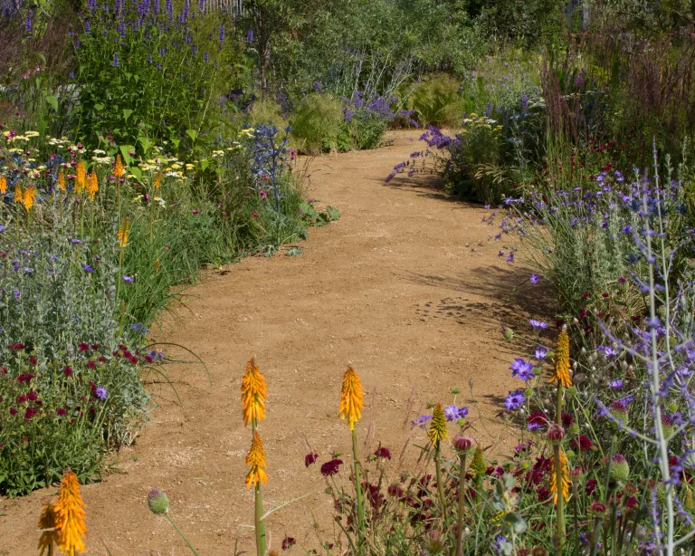 Garden path ideas – 15 ways to create a beautiful walkway