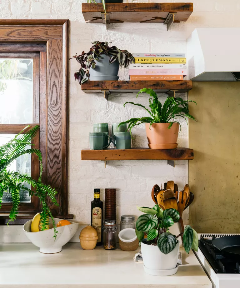 Best kitchen plants – 10 to brighten up the room and add color and life