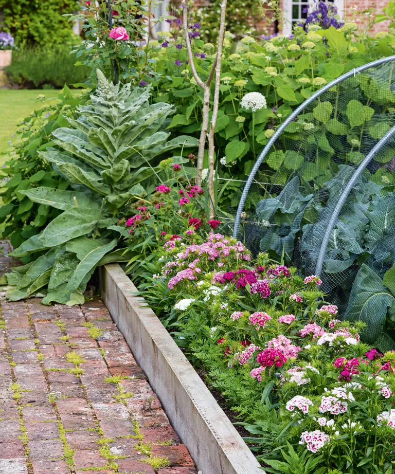 Raised garden bed ideas – build raised planters now for productive, low-maintenance gardening