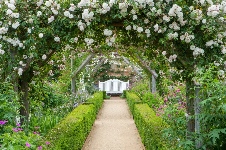 Rose garden ideas – 14 colorful rose gardens to inspire