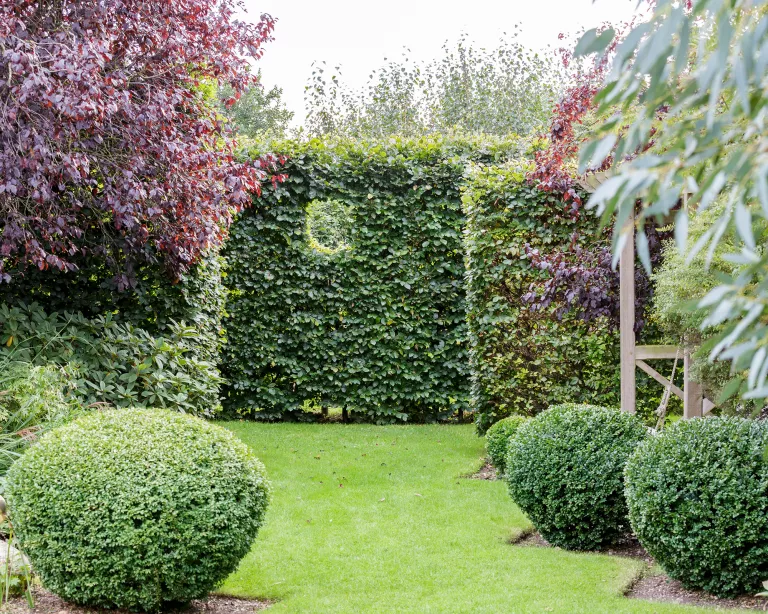 Garden fence ideas – 23 stylish ways to define your boundaries