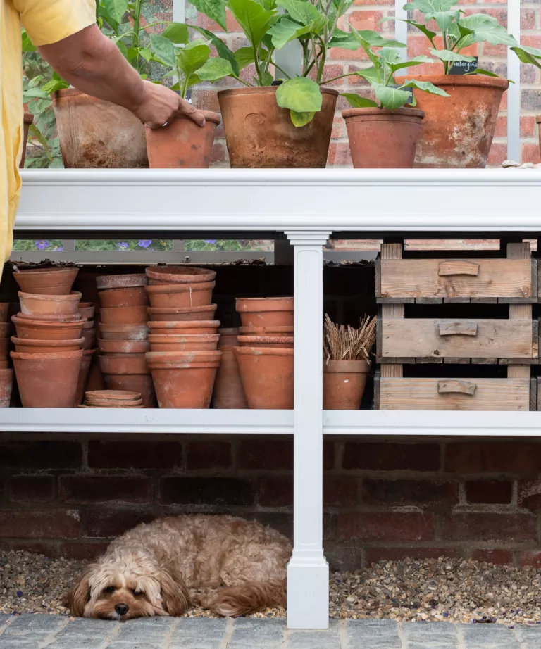 Planning a greenhouse – 10 ways to make the best use of space year round