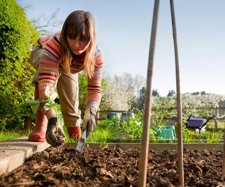 9 ways to create a beautiful spring garden and make the most of the season in your outdoor space