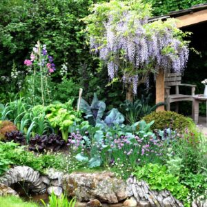 Embrace the Charm: Cottage Garden Design 101